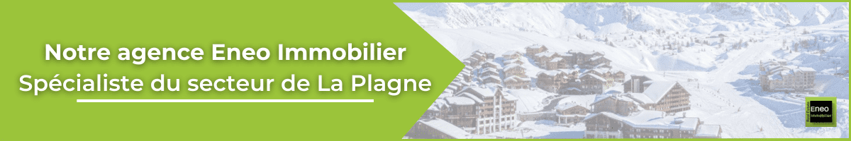 immobilier la plagne